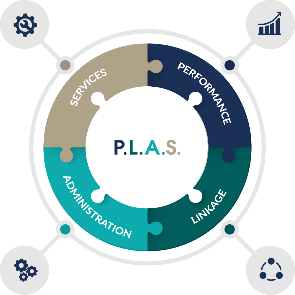 P.L.A.S. GmbH Werte Grafik